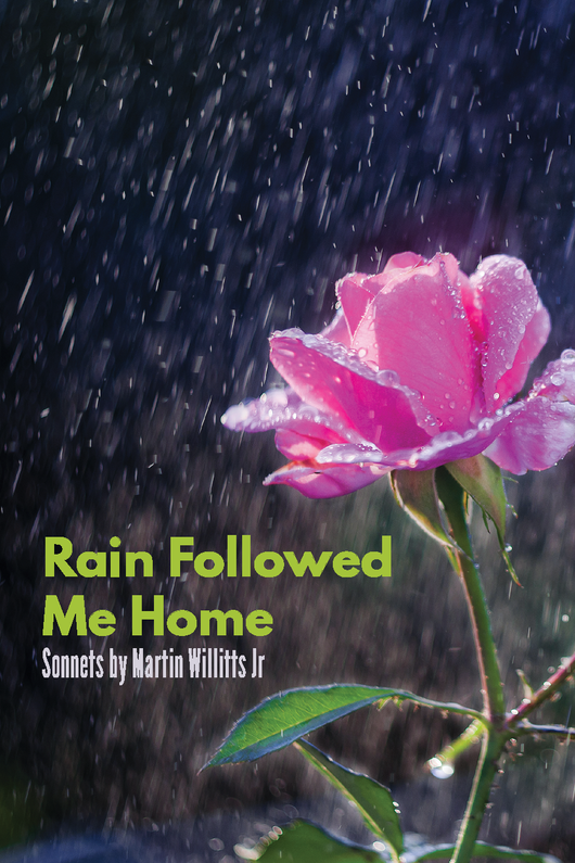 Rain Followed Me Home