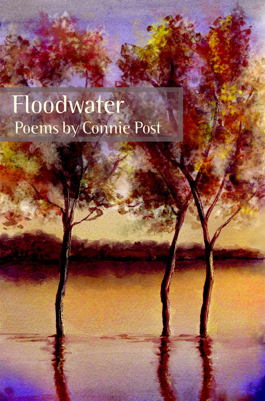 Floodwater