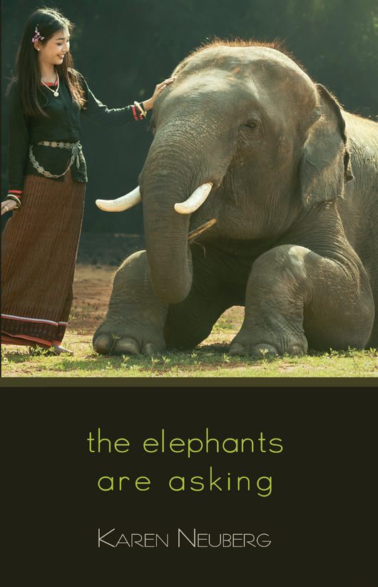 the elephants are asking
