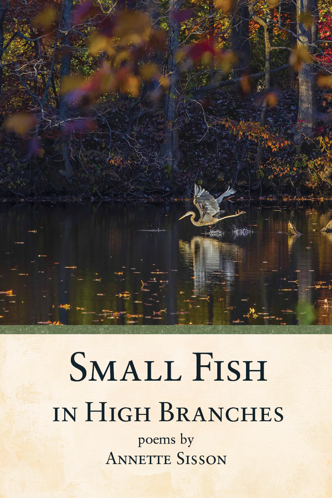 Small Fish in High Branches – Glass Lyre Press