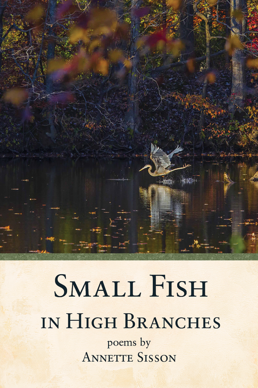 Small Fish in High Branches