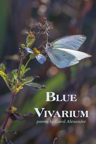 Blue Vivarium