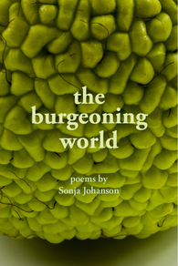 the burgeoning world